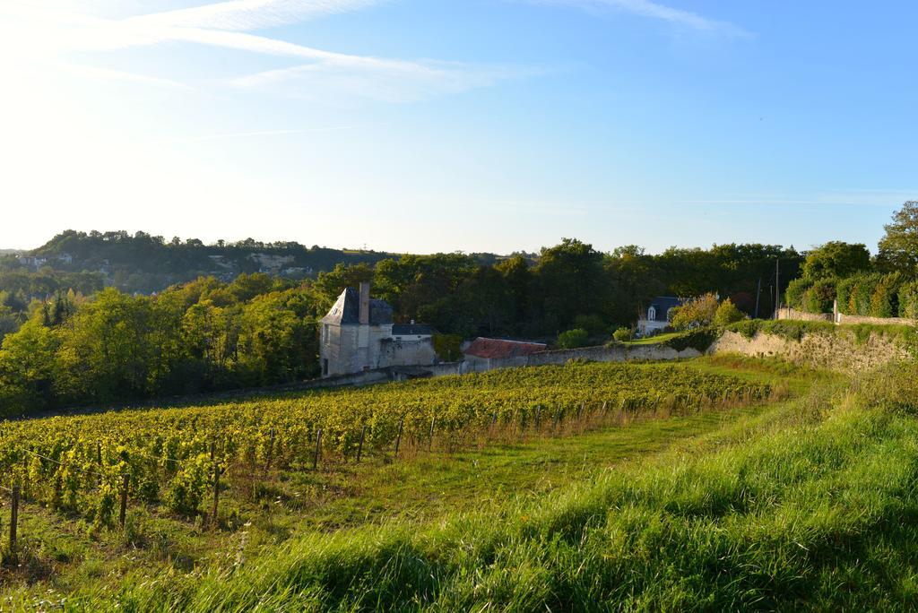 Pose de ciels étoilés à Vernou-sur-Brenne